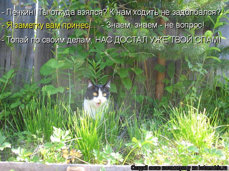 - Печкин! Ты откуда взялся? К нам ходить не задолбался? - Я заметку вам принес... - Знаем, знаем - не... Котоматрица: - Печкин! Ты откуда взялся? К нам ходить не задолбался? - Я заметку вам принес... - Знаем, знаем - не вопрос! - Топай по своим делам, НАС ДОСТАЛ УЖЕ