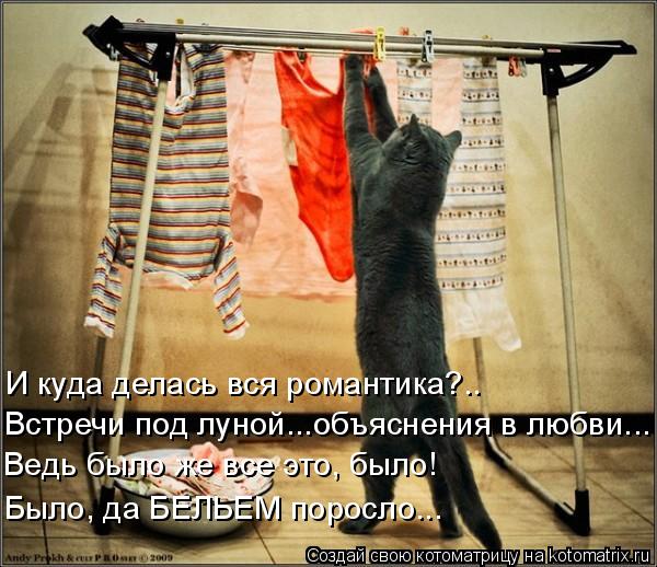 И куда делась вся романтика?.. Встречи под луной...объяснения в любви... Ведь было же все это, было! ... Котоматрица: И куда делась вся романтика?.. Встречи под луной...объяснения в любви... Ведь было же все это, было! Было, да БЕЛЬЕМ поросло...