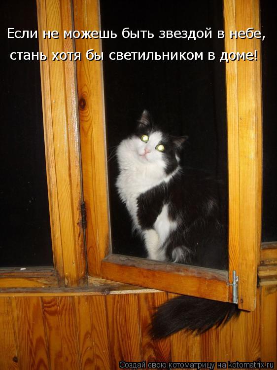 Если не можешь быть звездой в небе, стань хотя бы светильником в доме! стань хотя бы светильником в ... Котоматрица: Если не можешь быть звездой в небе, стань хотя бы светильником в доме! стань хотя бы светильником в доме!