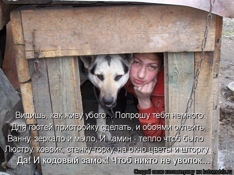 Видишь, как живу убого... Попрошу тебя немного: Для гостей пристройку сделать, и обоями оклеить, Ванн... Котоматрица: Видишь, как живу убого... Попрошу тебя немного: Для гостей пристройку сделать, и обоями оклеить, Ванну, зеркало и мыло, И камин - тепло чтоб был