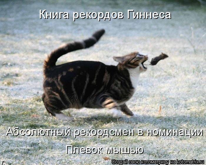 Котоматрица: Книга рекордов Гиннеса  Абсолютный рекордсмен в номинации Плевок мышью