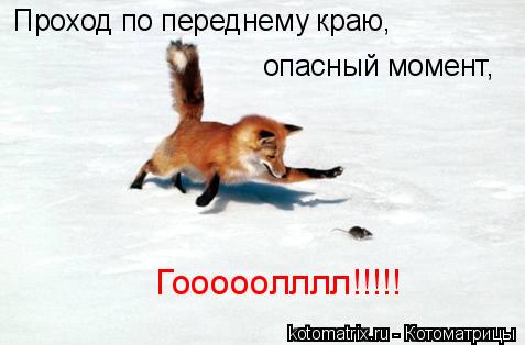Проход по переднему краю, опасный момент, Гооооолллл!!!!!... Котоматрица: Проход по переднему краю, опасный момент, Гооооолллл!!!!!