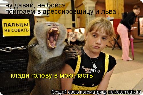 ну давай, не бойся поиграем в дрессировщицу и льва клади голову в мою пасть!... Котоматрица: ну давай, не бойся поиграем в дрессировщицу и льва клади голову в мою пасть!