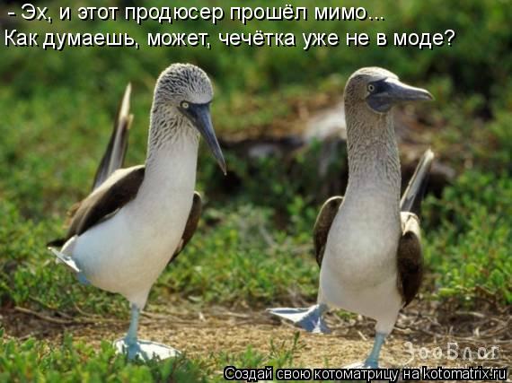 - Эх, и этот продюсер прошёл мимо... Как думаешь, может, чечётка уже не в моде?... Котоматрица: - Эх, и этот продюсер прошёл мимо... Как думаешь, может, чечётка уже не в моде?