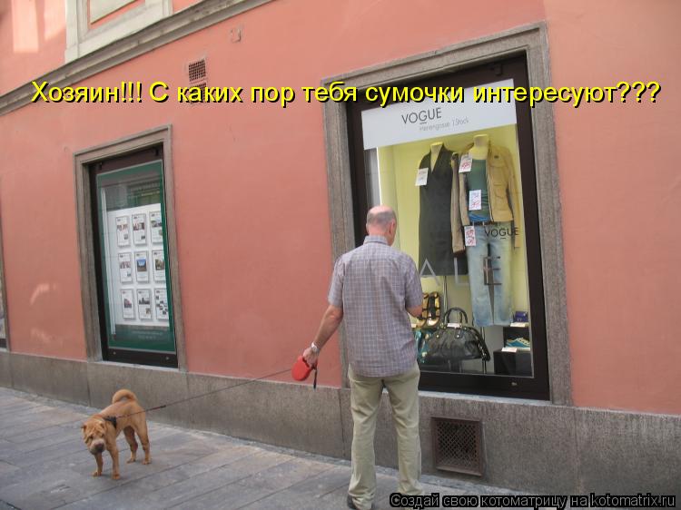 Хозяин!!! С каких пор тебя сумочки интересуют???... Котоматрица: Хозяин!!! С каких пор тебя сумочки интересуют???