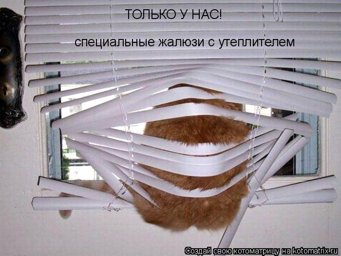 ТОЛЬКО У НАС! специальные жалюзи с утеплителем... Котоматрица: ТОЛЬКО У НАС! специальные жалюзи с утеплителем