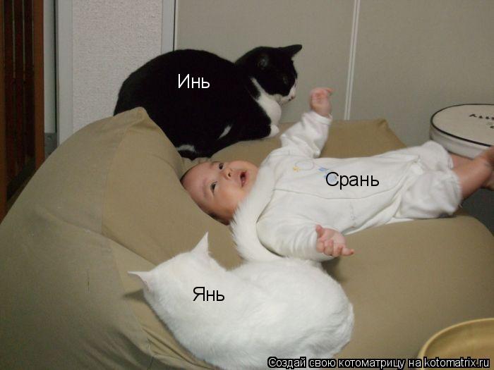 Янь Инь Срань... Котоматрица: Янь Инь Срань