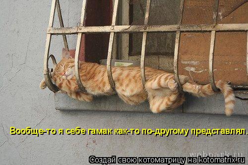 Вообще-то я себе гамак как-то по-другому представлял.... Котоматрица: Вообще-то я себе гамак как-то по-другому представлял.