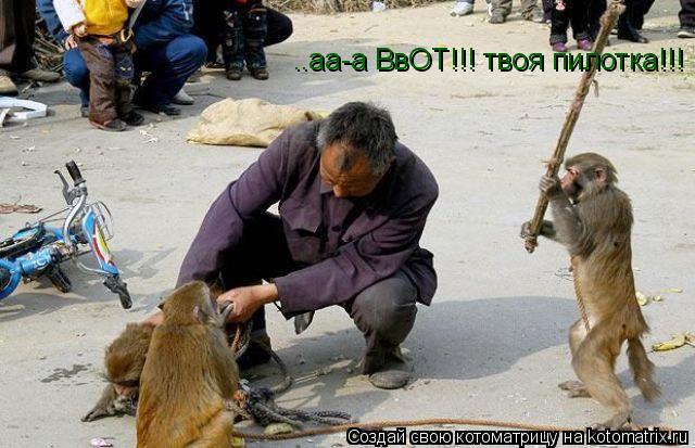 ..аа-а ВвОТ!!! твоя пилотка!!!... Котоматрица: ..аа-а ВвОТ!!! твоя пилотка!!!