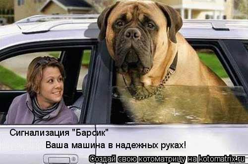 Сигнализация "Барсик" Ваша машина в надежных руках!... Котоматрица: Сигнализация "Барсик" Ваша машина в надежных руках!