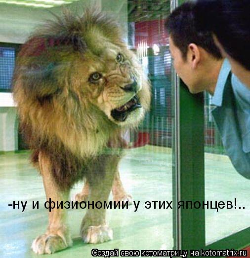 -ну и физиономии у этих японцев!..... Котоматрица: -ну и физиономии у этих японцев!..