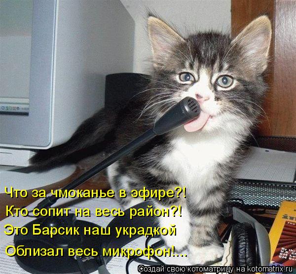 Что за чмоканье в эфире?! Кто сопит на весь район?! Это Барсик наш украдкой Облизал весь микрофон!...... Котоматрица: Что за чмоканье в эфире?! Кто сопит на весь район?! Это Барсик наш украдкой Облизал весь микрофон!...