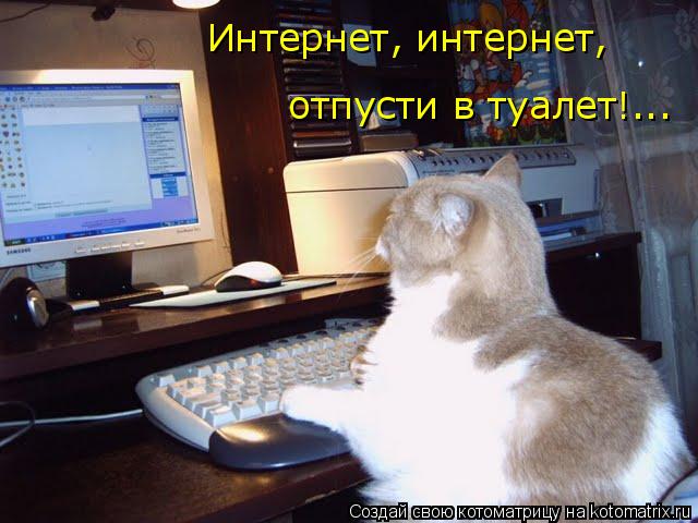 Интернет, интернет, отпусти в туалет!...... Котоматрица: Интернет, интернет, отпусти в туалет!...