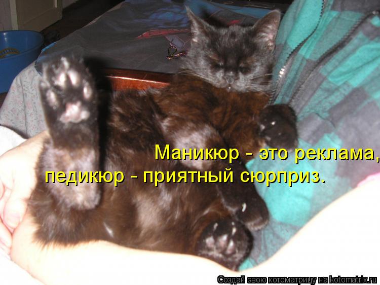 Котоматрица: Маникюр - это реклама, педикюр - приятный сюрприз.