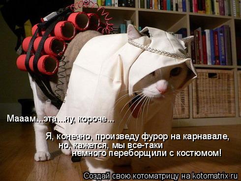 Мааам...эта...ну, короче... Я, конечно, произведу фурор на карнавале, но, кажется, мы все-таки немно... Котоматрица: Мааам...эта...ну, короче... Я, конечно, произведу фурор на карнавале, но, кажется, мы все-таки немного переборщили с костюмом!