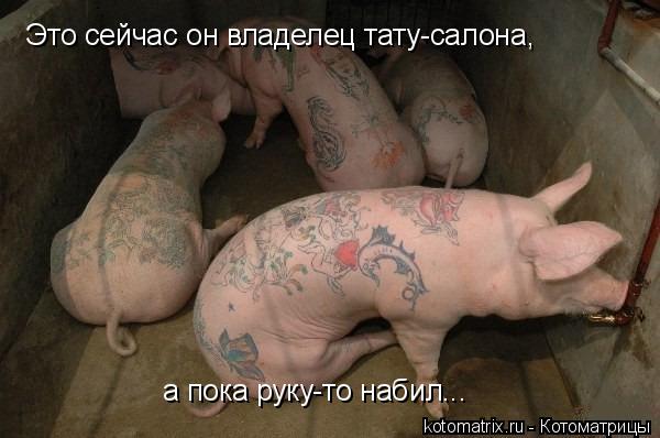 Котоматрица: Это сейчас он владелец тату-салона, а пока руку-то набил...