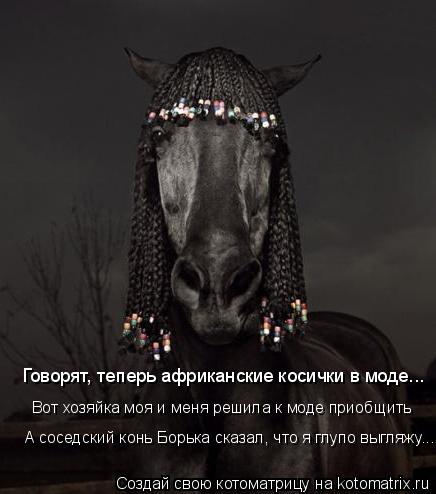 Говорят, теперь африканские косички в моде... Вот хозяйка моя и меня решила к моде приобщить А соседс... Котоматрица: Говорят, теперь африканские косички в моде... Вот хозяйка моя и меня решила к моде приобщить А соседский конь Борька сказал, что я глупо выгл