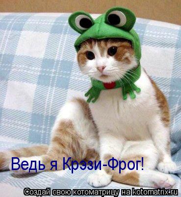 Ведь я Крэзи-Фрог!... Котоматрица: Ведь я Крэзи-Фрог!
