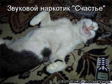 Звуковой наркотик "Счастье"... Котоматрица: Звуковой наркотик "Счастье"