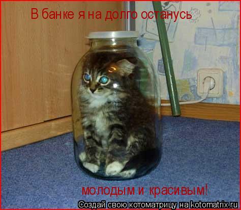 В банке я на долго останусь молодым и красивым!... Котоматрица: В банке я на долго останусь молодым и красивым!