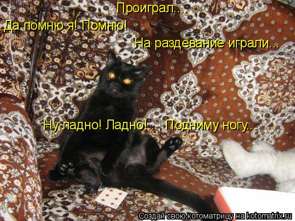 Проиграл.... Да помню я! Помню! На раздевание играли... Ну ладно! Ладно!.... Подниму ногу...... Котоматрица: Проиграл.... Да помню я! Помню! На раздевание играли... Ну ладно! Ладно!.... Подниму ногу...
