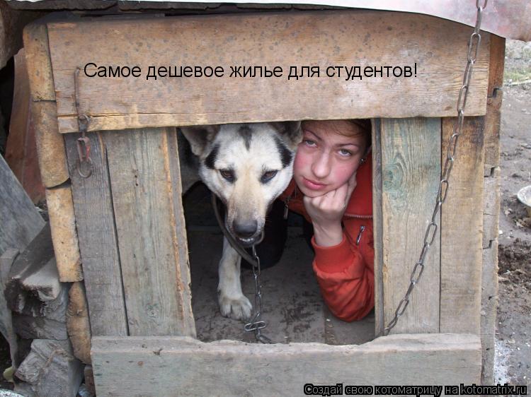 Самое дешевое жилье для студентов!... Котоматрица: Самое дешевое жилье для студентов!