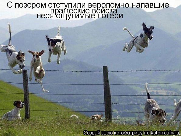 С позором отступили вероломно напавшие вражеские войска неся ощутимые потери... Котоматрица: С позором отступили вероломно напавшие вражеские войска неся ощутимые потери