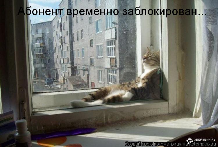 Абонент временно заблокирован...... Котоматрица: Абонент временно заблокирован...