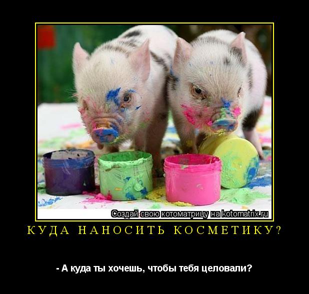 Котоматрица: Куда наносить косметику? - А куда ты хочешь, чтобы тебя целовали?