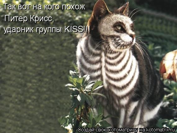 Так вот на кого похож Питер Крисс, ударник группы KISS!!!... Котоматрица: Так вот на кого похож Питер Крисс, ударник группы KISS!!!
