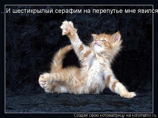 ...И шестикрылый серафим на перепутье мне явился...... Котоматрица: ...И шестикрылый серафим на перепутье мне явился...