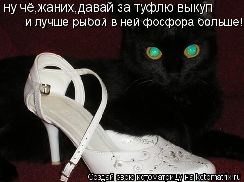 ну чё,жаних,давай за туфлю выкуп и лучше рыбой в ней фосфора больше!... Котоматрица: ну чё,жаних,давай за туфлю выкуп и лучше рыбой в ней фосфора больше!