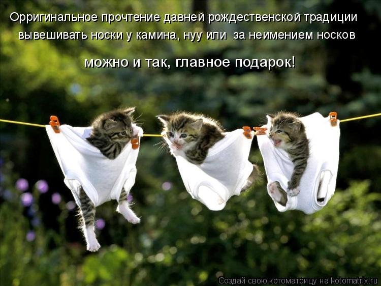 Орригинальное прочтение давней рождественской традиции вывешивать носки у камина, нуу или за неимени... Котоматрица: Орригинальное прочтение давней рождественской традиции вывешивать носки у камина, нуу или за неимением носков можно и так, главное подаро