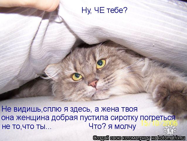 Ну, ЧЕ тебе? Не видишь,сплю я здесь, а жена твоя она женщина добрая пустила сиротку погреться не то,ч... Котоматрица: Ну, ЧЕ тебе? Не видишь,сплю я здесь, а жена твоя она женщина добрая пустила сиротку погреться не то,что ты... Что? я молчу