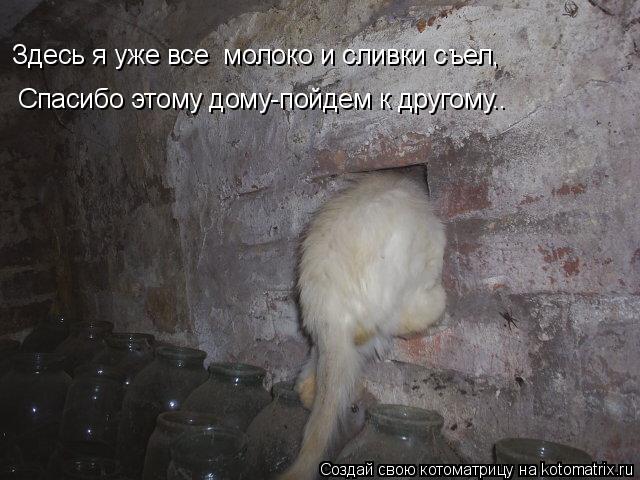 Спасибо этому дому-пойдем к другому.. Здесь я уже все молоко и сливки съел,... Котоматрица: Спасибо этому дому-пойдем к другому.. Здесь я уже все молоко и сливки съел,