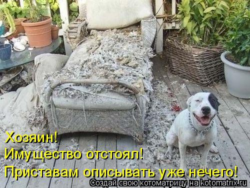 Котоматрица: Хозяин! Имущество отстоял! Приставам описывать уже нечего!
