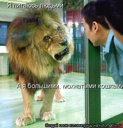 Котоматрица: Я питаюсь людьми А я большими, мохнатыми кошками
