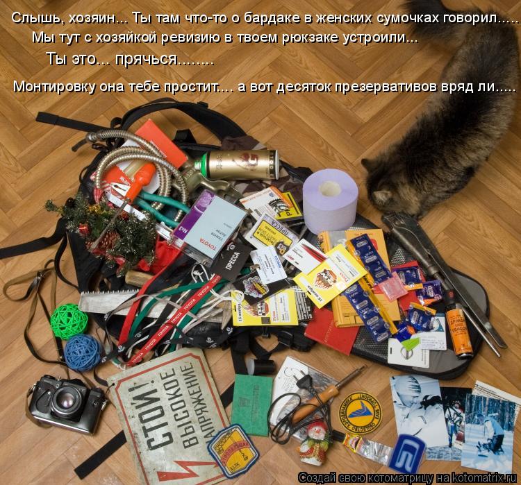 Котоматрица: Слышь, хозяин... Ты там что-то о бардаке в женских сумочках говорил.....   Мы тут с хозяйкой ревизию в твоем рюкзаке устроили...  Ты это... прячься..