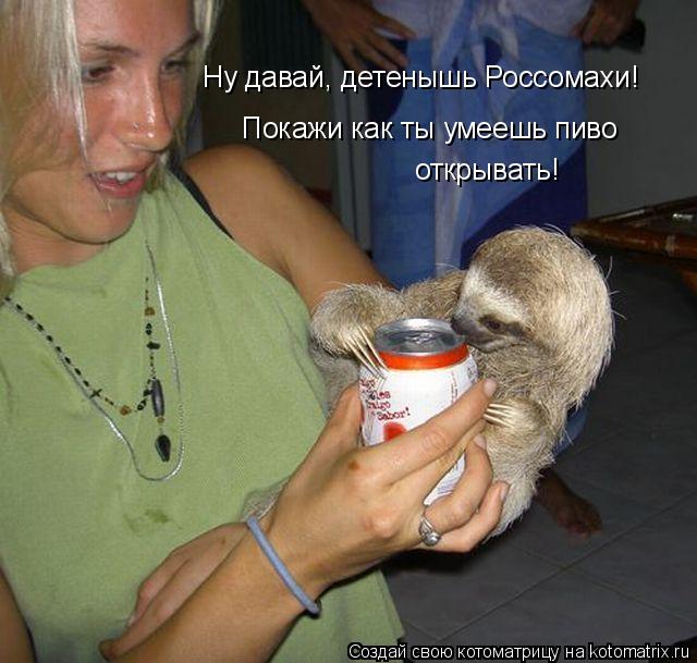 Ну давай, детенышь Россомахи! Покажи как ты умеешь пиво открывать!... Котоматрица: Ну давай, детенышь Россомахи! Покажи как ты умеешь пиво открывать!