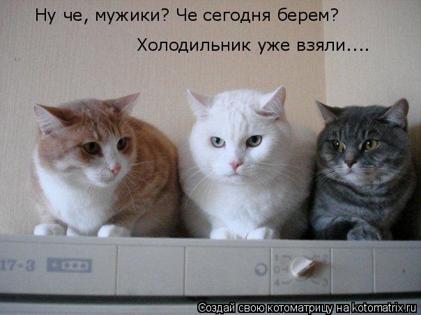 Ну че, мужики? Че сегодня берем? Холодильник уже взяли....... Котоматрица: Ну че, мужики? Че сегодня берем? Холодильник уже взяли....