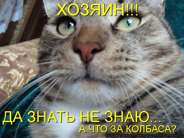 ХОЗЯИН!!! ДА ЗНАТЬ НЕ ЗНАЮ... А ЧТО ЗА КОЛБАСА?... Котоматрица: ХОЗЯИН!!! ДА ЗНАТЬ НЕ ЗНАЮ... А ЧТО ЗА КОЛБАСА?