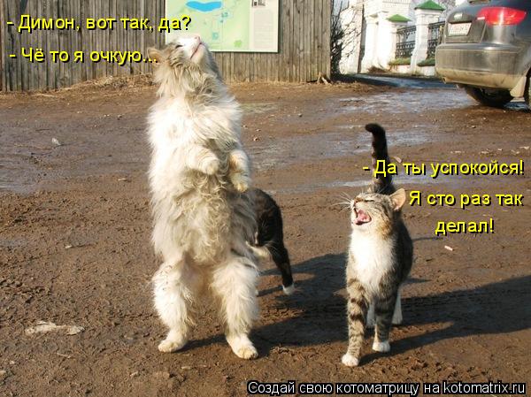 - Димон, вот так, да? - Чё то я очкую... - Да ты успокойся! Я сто раз так делал!... Котоматрица: - Димон, вот так, да? - Чё то я очкую... - Да ты успокойся! Я сто раз так делал!