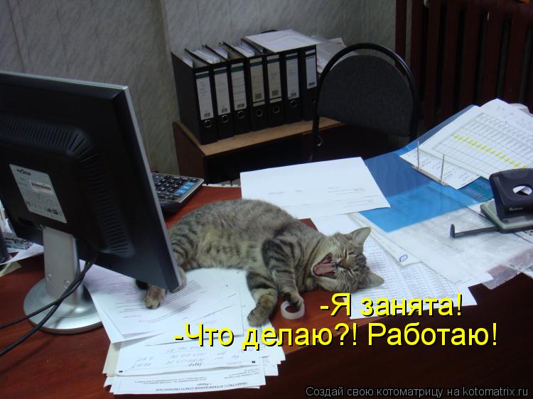 -Я занята! -Что делаю?! Работаю!... Котоматрица: -Я занята! -Что делаю?! Работаю!