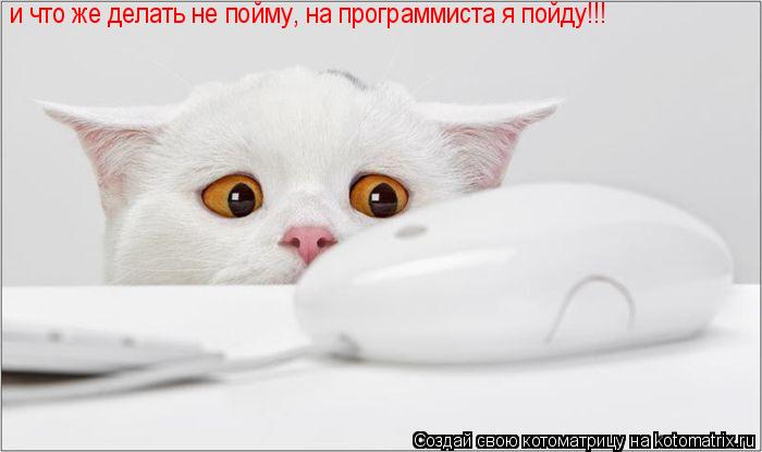 и что же делать не пойму, на программиста я пойду!!!... Котоматрица: и что же делать не пойму, на программиста я пойду!!!