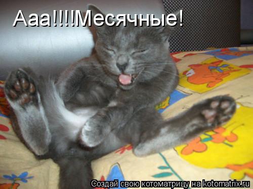 Ааа!!!!Месячные!... Котоматрица: Ааа!!!!Месячные!
