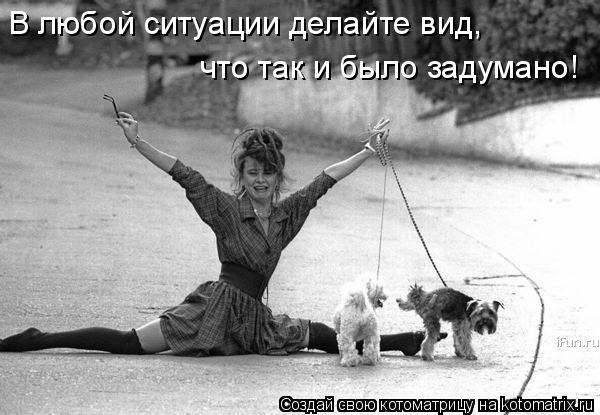 В любой ситуации делайте вид, что так и было задумано!... Котоматрица: В любой ситуации делайте вид, что так и было задумано!