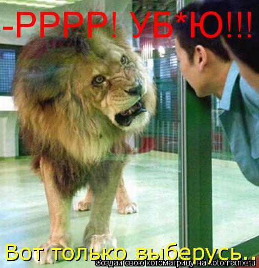 -РРРР! УБ*Ю!!! Вот только выберусь...... Котоматрица: -РРРР! УБ*Ю!!! Вот только выберусь...