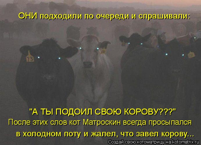 Котоматрица: "А ТЫ ПОДОИЛ СВОЮ КОРОВУ???" ОНИ подходили по очереди и спрашивали: в холодном поту и жалел, что завел корову... После этих слов кот Матроскин в