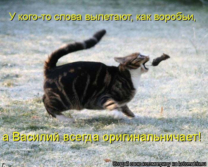 У кого-то слова вылетают, как воробьи, а Василий всегда оригинальничает!... Котоматрица: У кого-то слова вылетают, как воробьи, а Василий всегда оригинальничает!