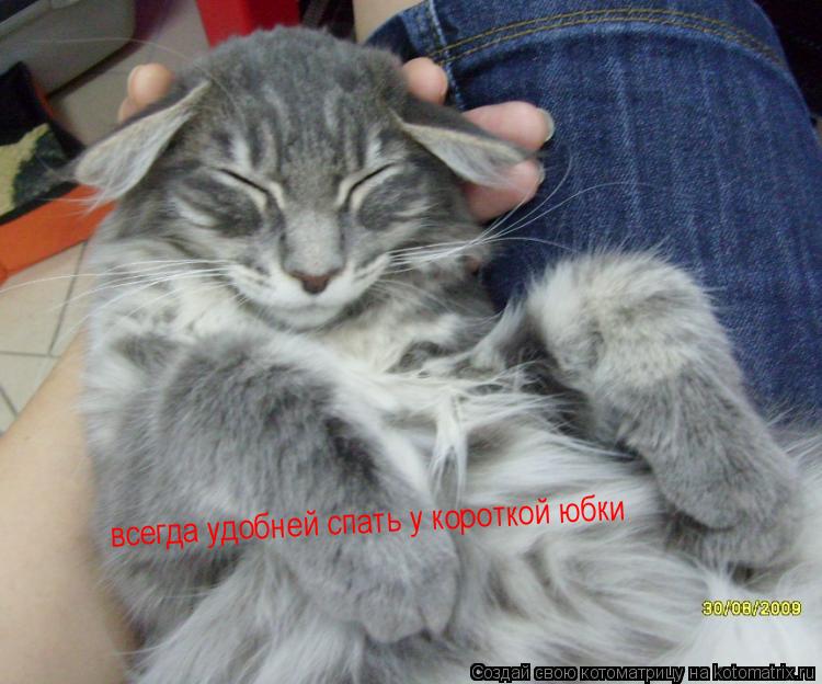 всегда удобней спать у короткой юбки всегда удобней спать у короткой юбки... Котоматрица: всегда удобней спать у короткой юбки всегда удобней спать у короткой юбки